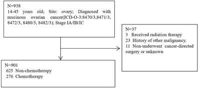 The effect of chemotherapy in patients with stage I mucinous ovarian cancer undergoing fertility-sparing surgery